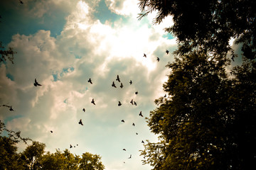 Fototapete bei efototapeten.de bestellen   