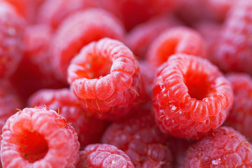 Closeup of natural tasty colourful raspberry with copy space, selective focus