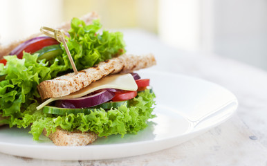 Homemade tasty vegetarian sandwich with fresh vegetables and cheese, copy space, horizontal