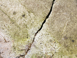 closeup of a  cracked cement texture for background