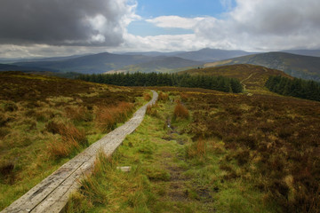 Fototapeta na wymiar Wicklow way trail leading to the vibrant irish landscape