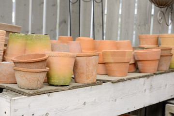 Naklejka premium 植木鉢 テラコッタ