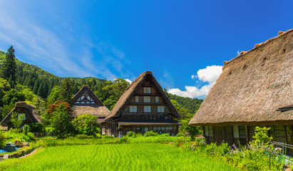 Fototapeta na wymiar Historical Japanese village Shirakawago in spring