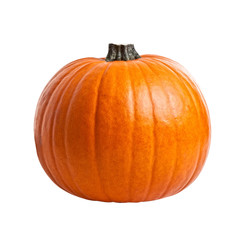 halloween pumpkin on white
