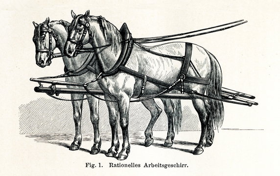 Horse harnessing (Rationelles Arbeitsgeschirr) (from Meyers Lexikon, 1895, 7/432/433)