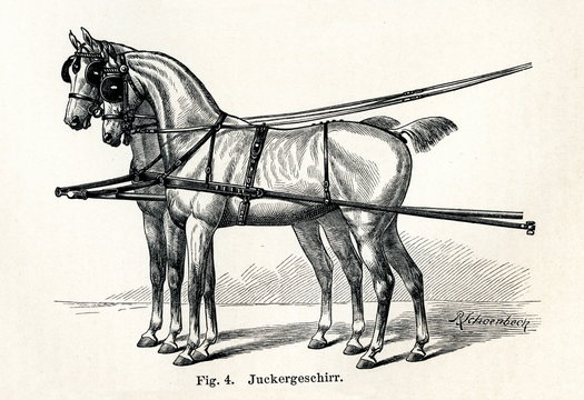 Horse harnessing (Juckergeschirr) (from Meyers Lexikon, 1895, 7/432/433)