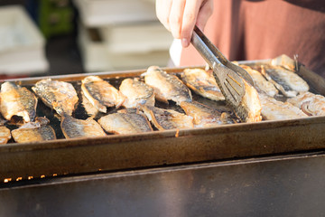 Chef grilling mackerel (Saba) steak on the stove, in front view.