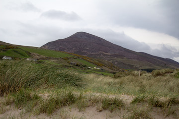 Landschaft in Irland