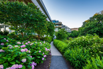 Gardens and walkway outside the Embassy of Sweden, in Washington