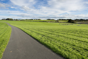 Road in a park alongside freshly cut field.