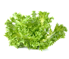Fresh green lettuce isolated on a white