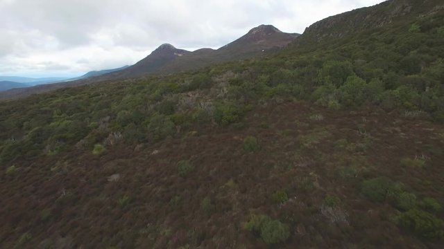 Forward flight low above the ground at Hartz Mountains National Park, Tasmania, Australia