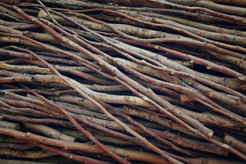 closeup image of many tree branches creating natural pattern