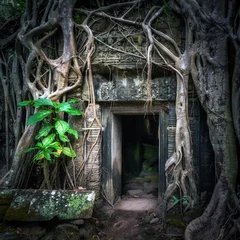 Photo sur Aluminium Rudnes Ancient Khmer architecture. Ta Prohm temple with giant banyan tree at Angkor Wat complex, Siem Reap, Cambodia travel destinations