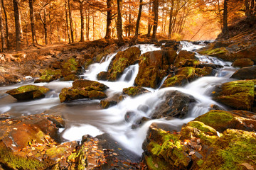 Fototapeta premium Herbst im Wald, Wasserfall
