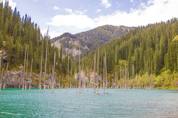 Kaindy mountain lake in Kazakhstan