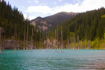 Kaindy mountain lake in Kazakhstan