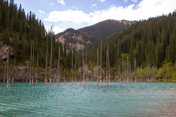 Kaindy mountain lake in Kazakhstan