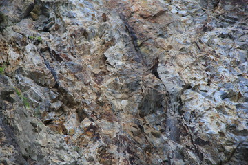 Fototapeta premium 岸壁