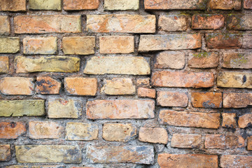 Classic Beautiful Textured Brick Wall
