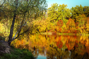 Sunny day in outdoor park with lake and colorful autumn trees reflection under blue sky. Amazing bright colors of autumn nature landscape