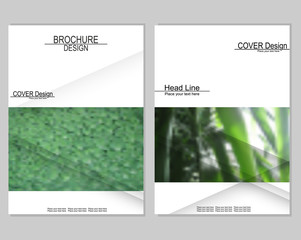 Vector brochure cover templates with blurred plants. Business brochure cover design. EPS 10. Mesh background.