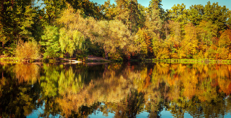 Sunny day in outdoor park with lake and colorful autumn trees reflection under blue sky. Amazing bright colors of autumn nature landscape