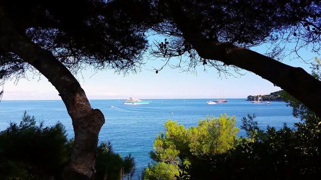 Beautiful Landscape of the Mediterranean Sea in Saint-Jean-Cap-Ferrat, Pine Trees and Boats in the Background