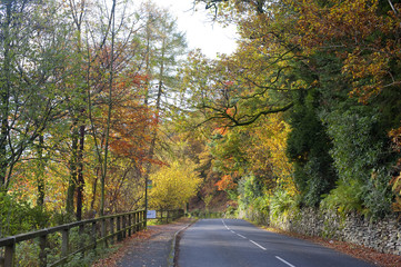 Fototapeta na wymiar Autumnal country drive