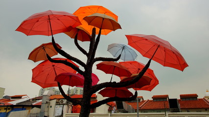 Baum mit vielen bunten Regenschirmen