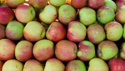 Fresh and juicy apples for sale on a country farm market. Great background.