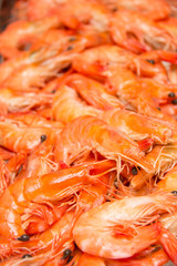 Boiled shrimp on ice