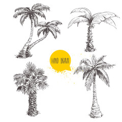 Obraz premium Hand drawn palm trees sketch set. Vector illustration on white background. Travel and vacation symbols.