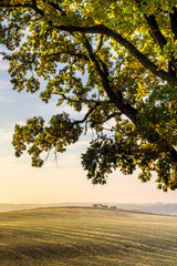 The first frost in the fields. Misty autumn morning. On the horizon the area of road investments.
