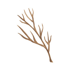 Obraz premium Watercolor tree branch isolated on white background