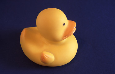 Yellow rubber toy duck