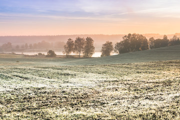 The first frost in the fields. Misty autumn morning.
