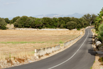 Landsväg genom odlingslandskap med berg i bakgrunden