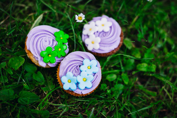 Violet cupcakes with glaze flowers stand on the green grass