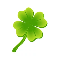 four leaf clover, St Patricks day  © lily_studio