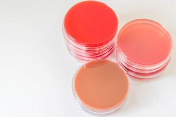 Selective Media for Bacteria growth.