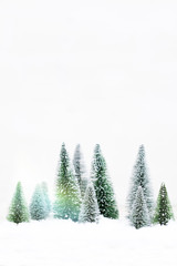 Snowy Winter Forest - Christmas Card