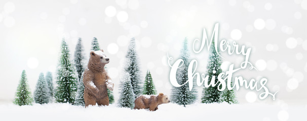 Christmas polar and grizzly bears in Snowy Winter Forest - Christmas trees