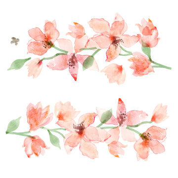 Watercolor Sakura. Floral background, flower painting