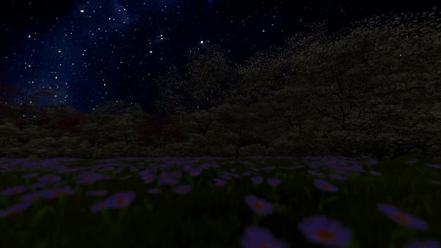 Spring forest, timelapse starry sky