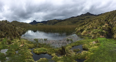 Ecuador, Nacional Park: Las Cajas 4000 masl