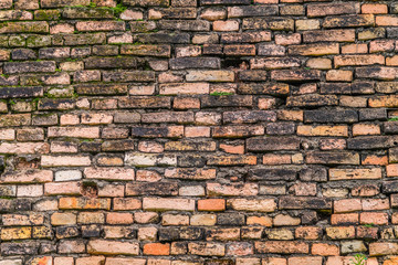 Old and rough  brick wall covered with moss.