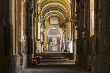 Statue inside Old cemetery © starmaro