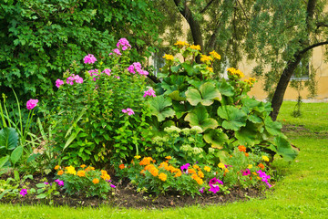 flower bed in park next to the building wall
