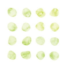Vector green watercolor spots. Stained petals. Hand painted circles set.